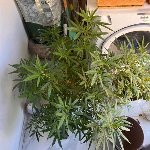 Wendy growlog photo: Wen cuando yo estuve de vacaciones