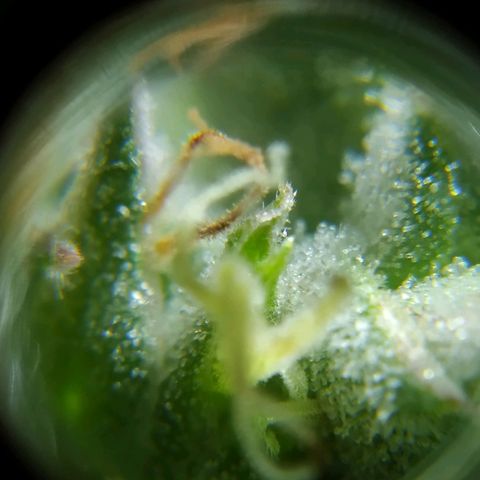 Wendy growlog timeline photo