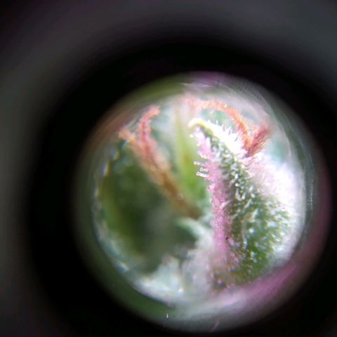 Wendy growlog timeline photo