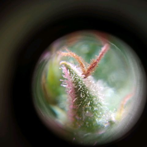 Wendy growlog timeline photo
