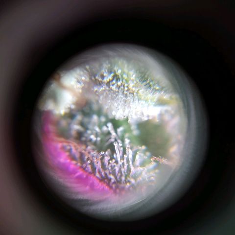Wendy growlog timeline photo