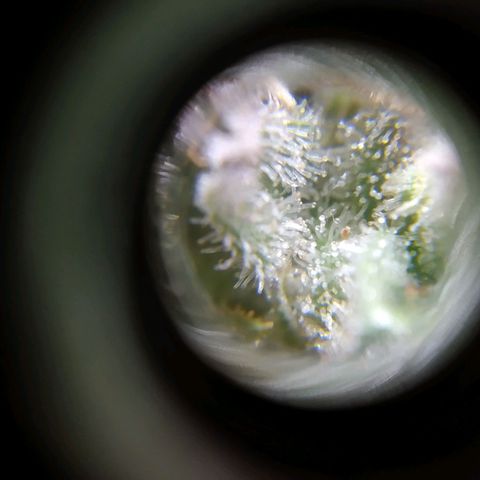 Wendy growlog timeline photo