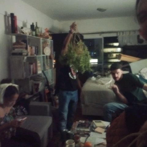 Las frutas  growlog timeline photo