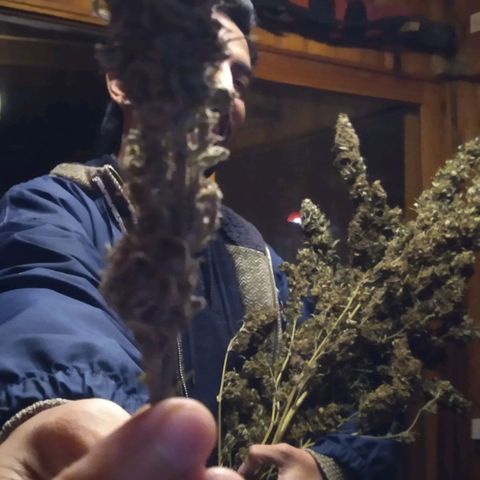 ext 23-24 growlog timeline photo