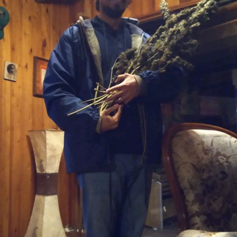 ext 23-24 growlog timeline photo