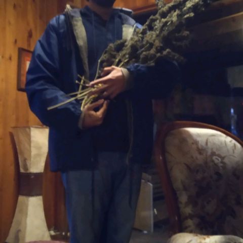 ext 23-24 growlog timeline photo