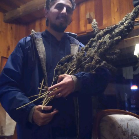 ext 23-24 growlog timeline photo
