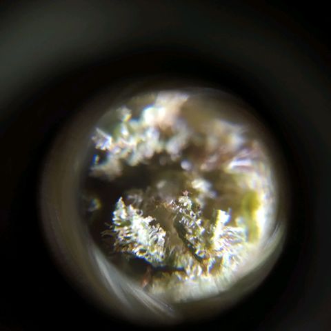 ext 23-24 growlog timeline photo