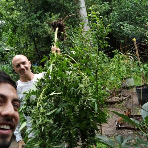 ext 23-24 growlog timeline photo