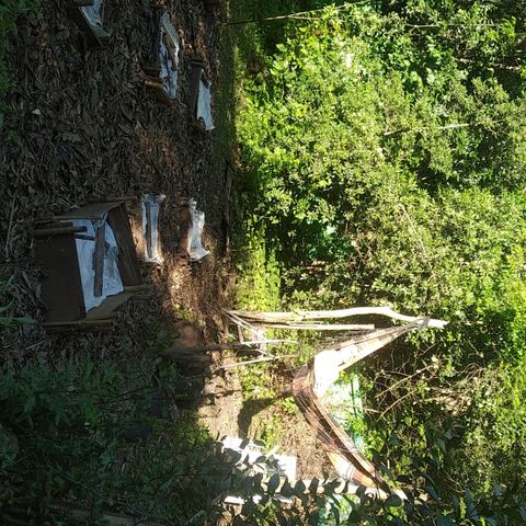 ext 23-24 growlog timeline photo