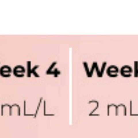 Timmy growlog timeline photo