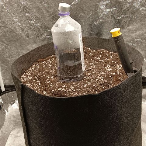 PALINA growlog photo: Снят парник. Опрыскана почва.