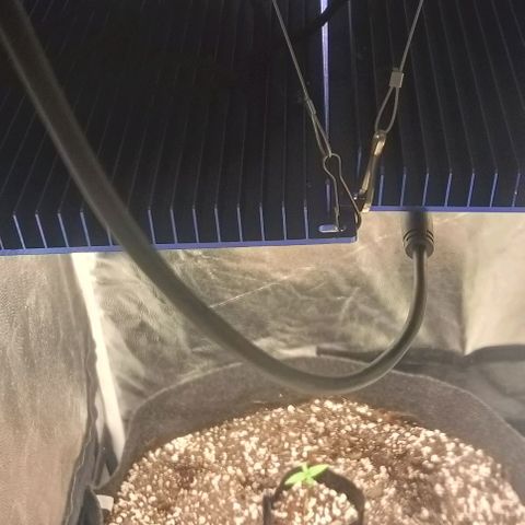 PALINA growlog timeline photo