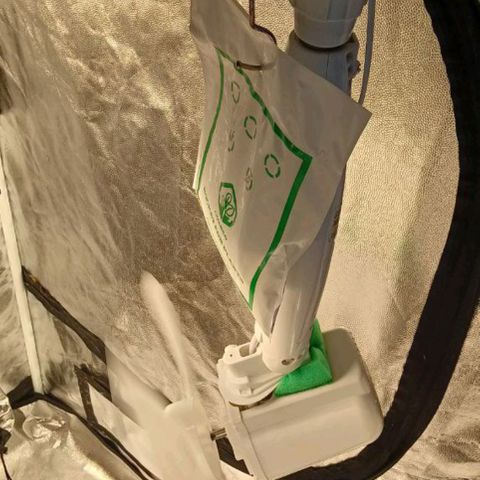 PALINA growlog timeline photo