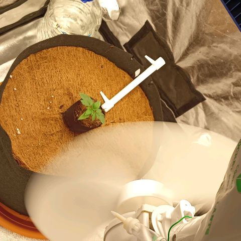 PALINA growlog timeline photo