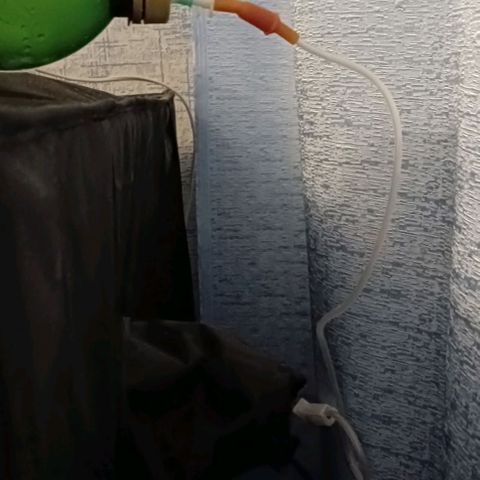 PALINA growlog timeline photo