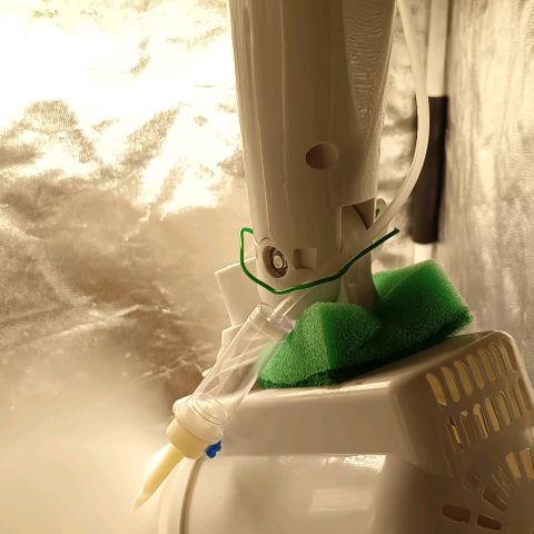 PALINA growlog timeline photo