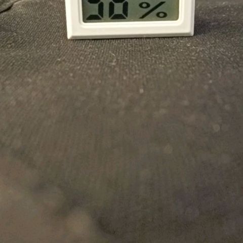 PALINA growlog timeline photo