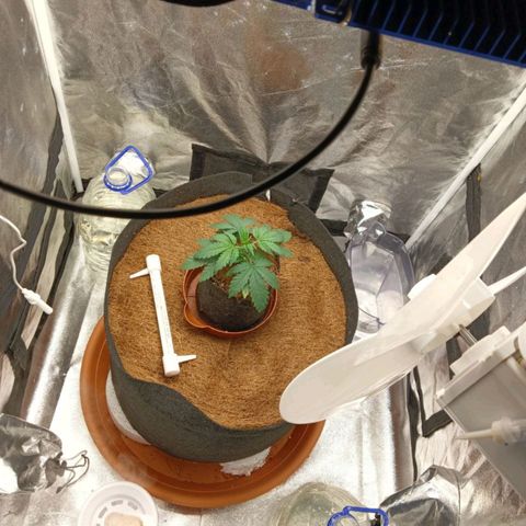 PALINA growlog timeline photo