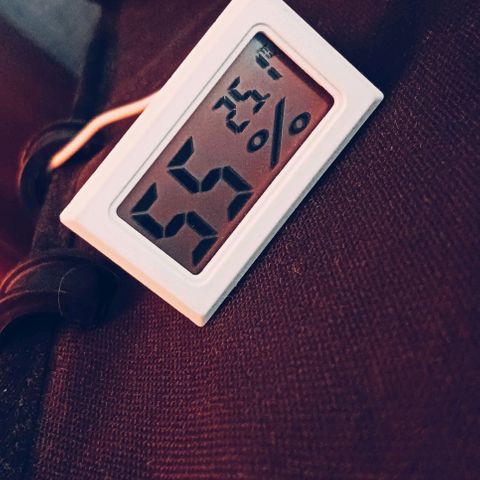 PALINA growlog timeline photo