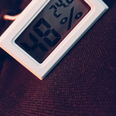 PALINA growlog timeline photo