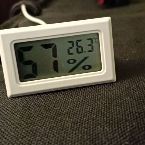 PALINA growlog timeline photo