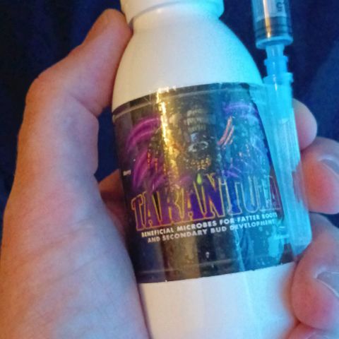 PALINA growlog timeline photo