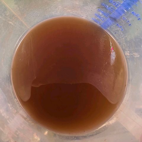 Growlog-Foto von Pineapple Fruz #1: Gießwasser mit BioBizz
