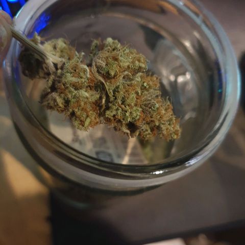 Blue Cheese Automatic growlog timeline photo
