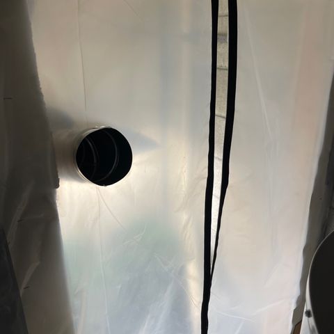 Purple Crash growlog timeline photo