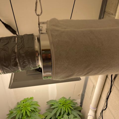 Purple Crash growlog photo: Added carbon filter. Need to change flex. So far no odor. 