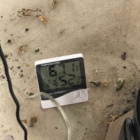 Purple Crash growlog timeline photo