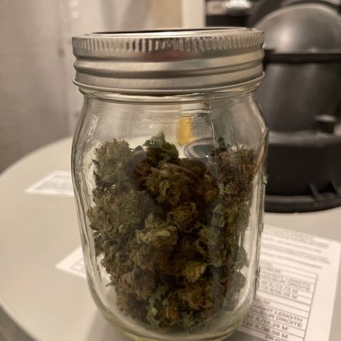 Purple Crash growlog timeline photo