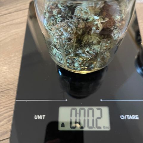 Purple Crash growlog timeline photo