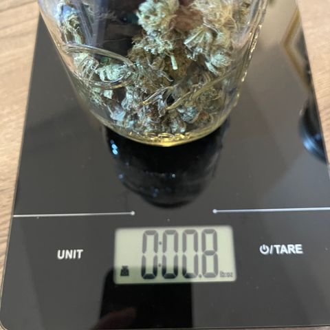 Purple Crash growlog timeline photo