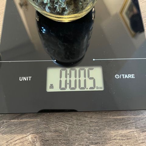 Purple Crash growlog timeline photo