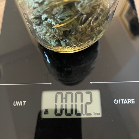 Purple Crash growlog timeline photo