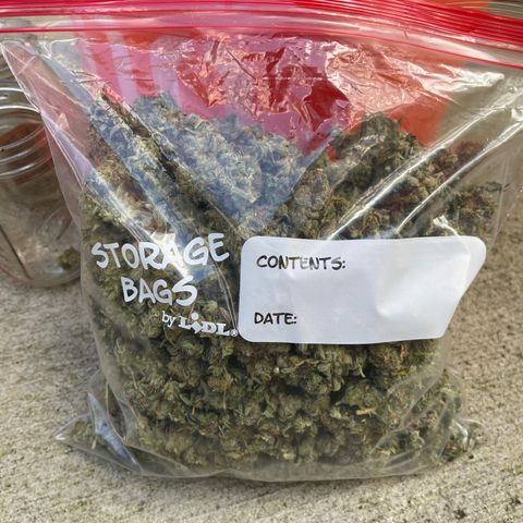 Purple Crash growlog timeline photo