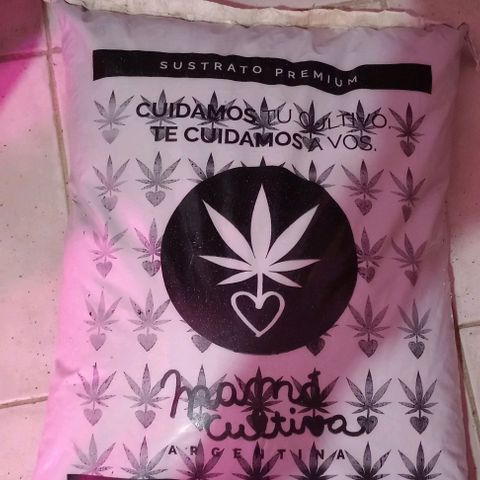 Clericó perroo growlog timeline photo