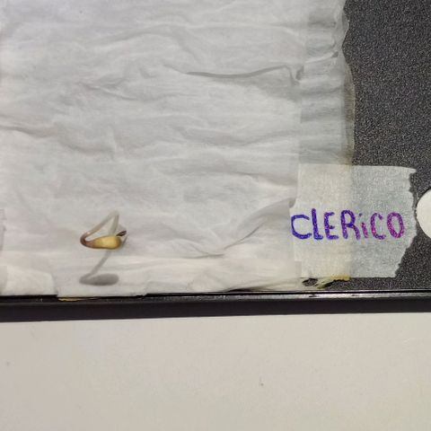 Clerico (exterior) growlog timeline photo