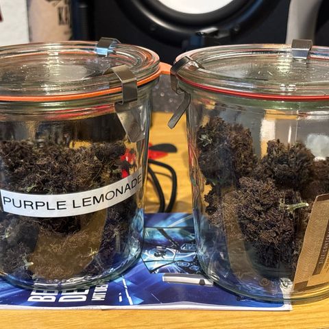 Purple Lemonade Automatic growlog timeline photo