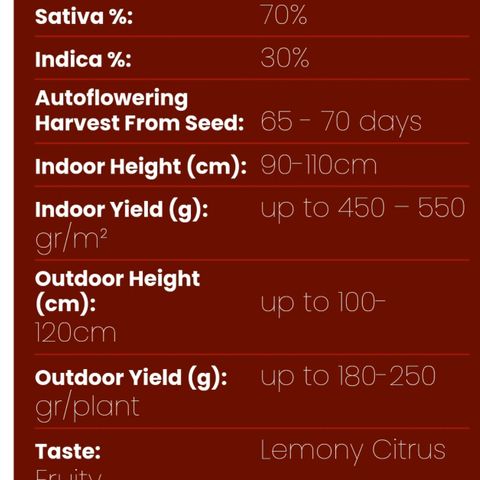 Lemon Haze Auto growlog timeline photo