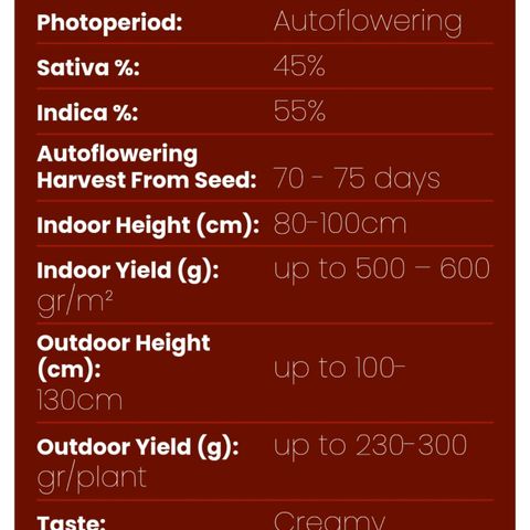 Gorilla Glue Auto growlog timeline photo