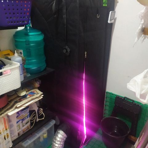 002 Crackuda 1 growlog timeline photo