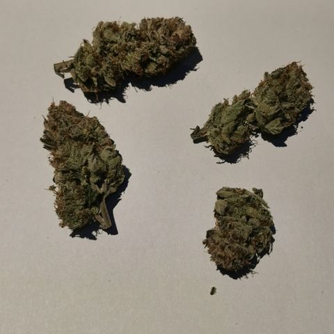 Wedding Cake Auto  growlog timeline photo