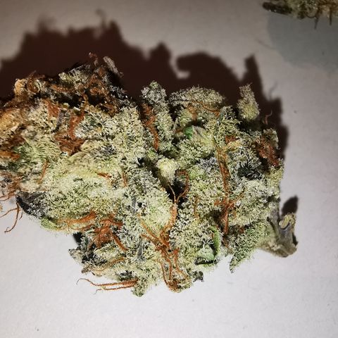 Wedding Cake Auto  growlog timeline photo
