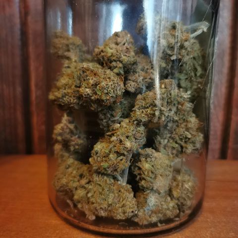 Blue Cheese Auto growlog timeline photo