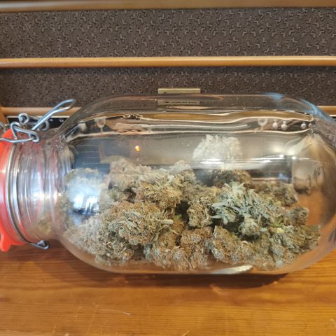 Triple G Auto growlog timeline photo