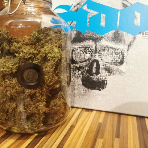 Stress Killer Auto  growlog timeline photo