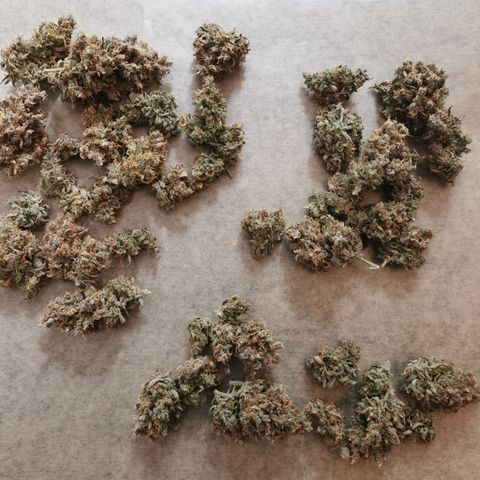 Green Crack Auto growlog timeline photo